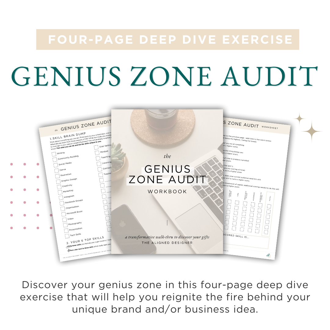 Genius Zone Audit Workbook (with PLR)